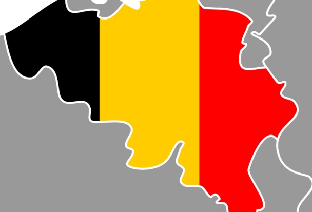 6.3% of Belgian deaths now E&AS