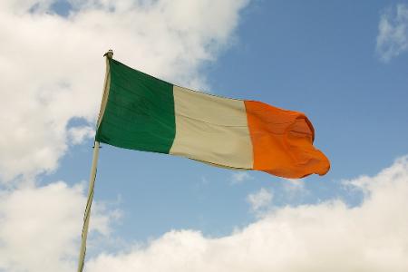 Irish 'right to die' case flawed